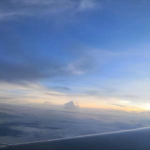 宅男视频在线入口播放
